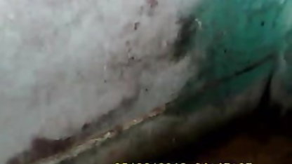 इस गधे ने मुझे अपने विशाल स्तनों से जीत लिया है मूवी सेक्सी वीडियो
