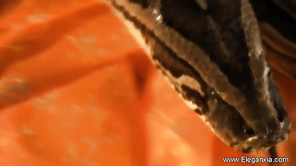 उसकी पहली हिंदी वाली सेक्सी मूवी रिकॉर्डिंग में अनुभवहीन मॉडल